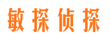 田林市侦探调查公司